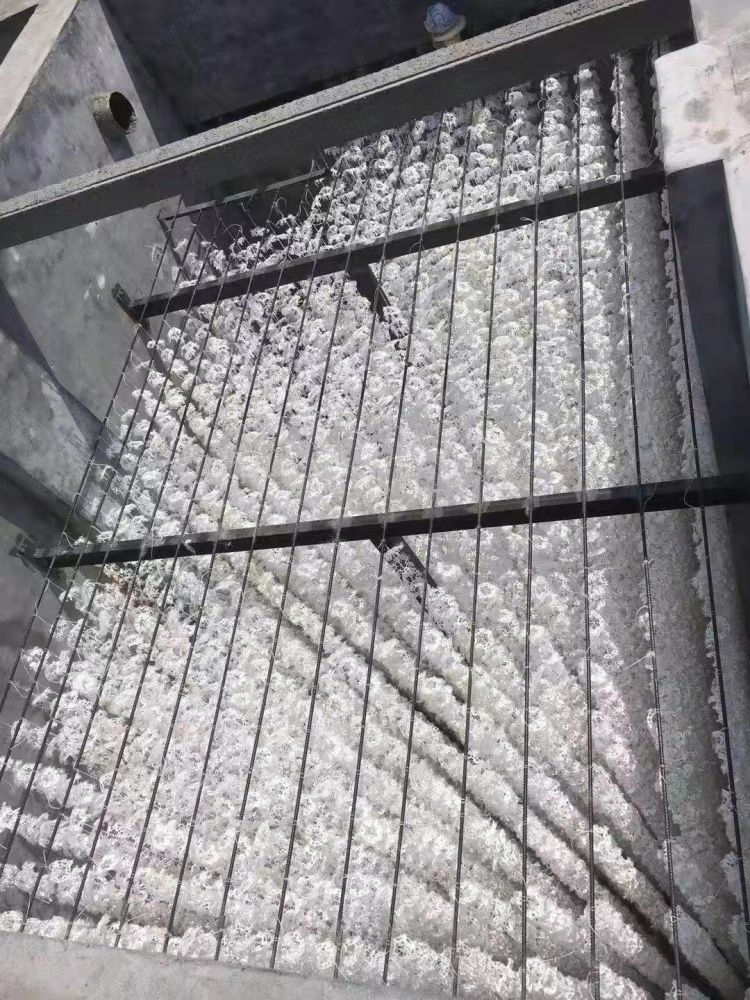 食品加工污水處理設(shè)備